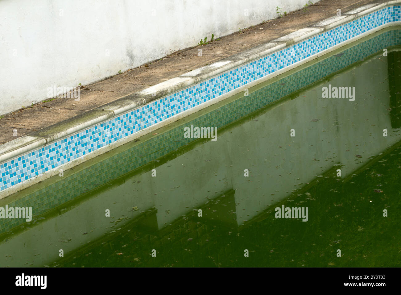 Slimy green swimming pool needs cleaning Stock Photo