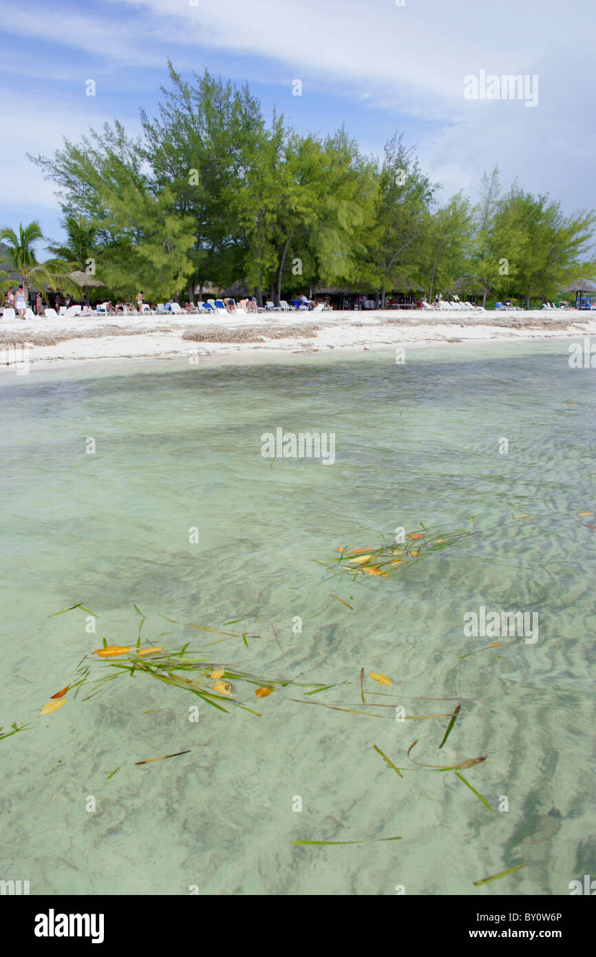 Cuban caribbean island hi-res stock photography and images - Alamy