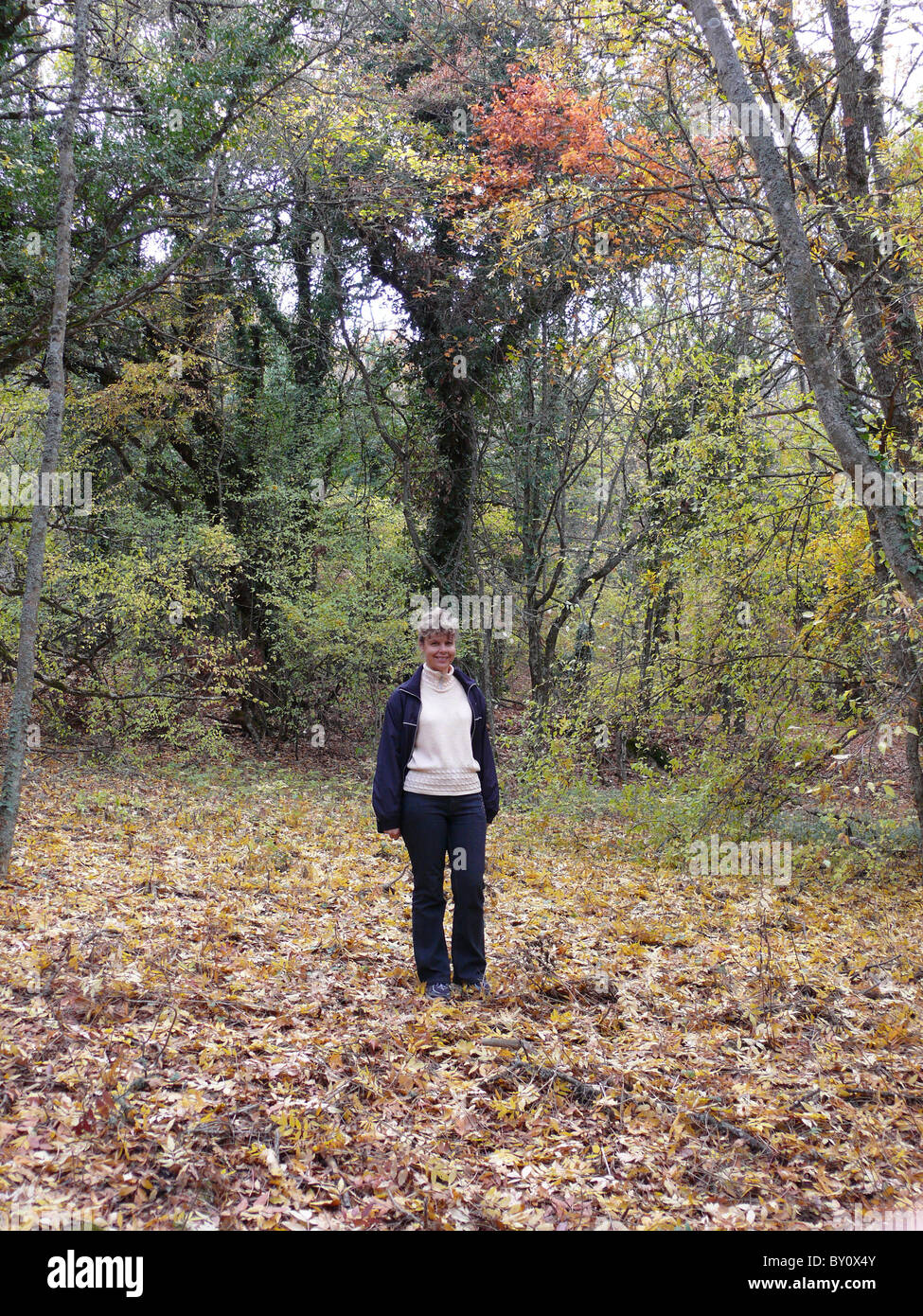 A woman walks through the autumn forest Stock Photo - Alamy