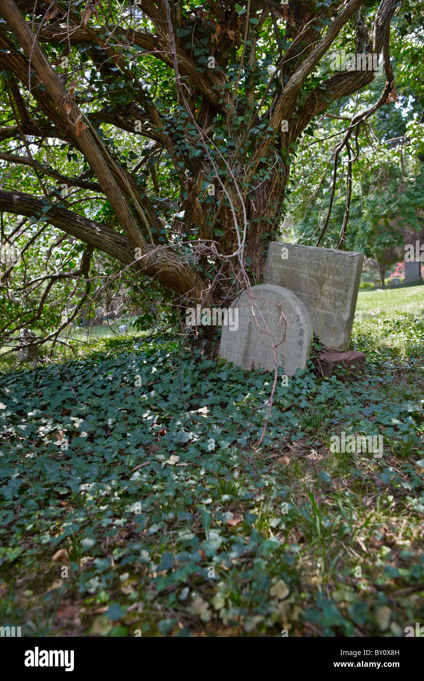 An old cemetery headstone that was broken, mended, and broken again. Stock Photo
