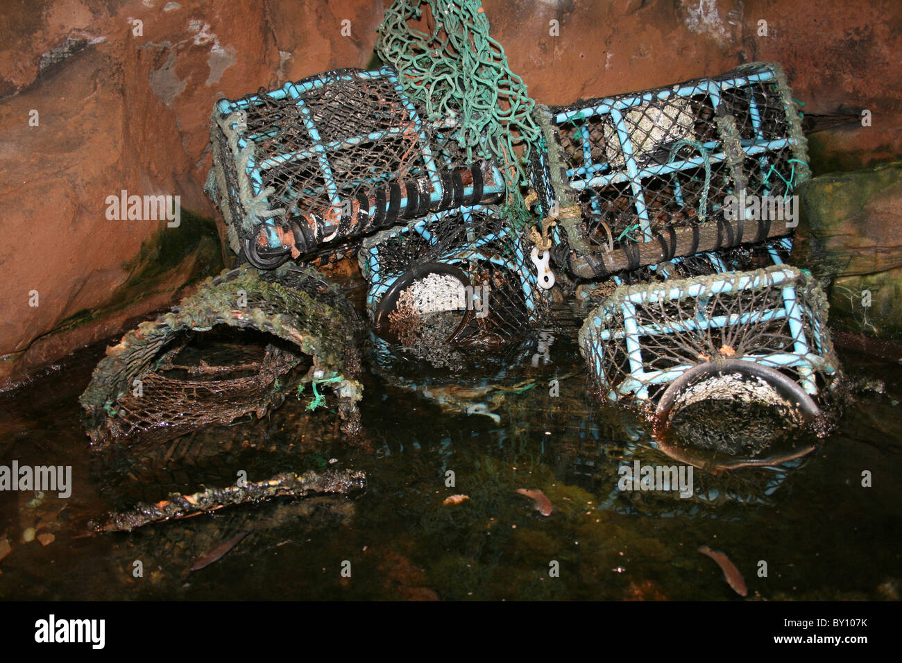 Collection Of Lobster Pots Stock Photo Alamy