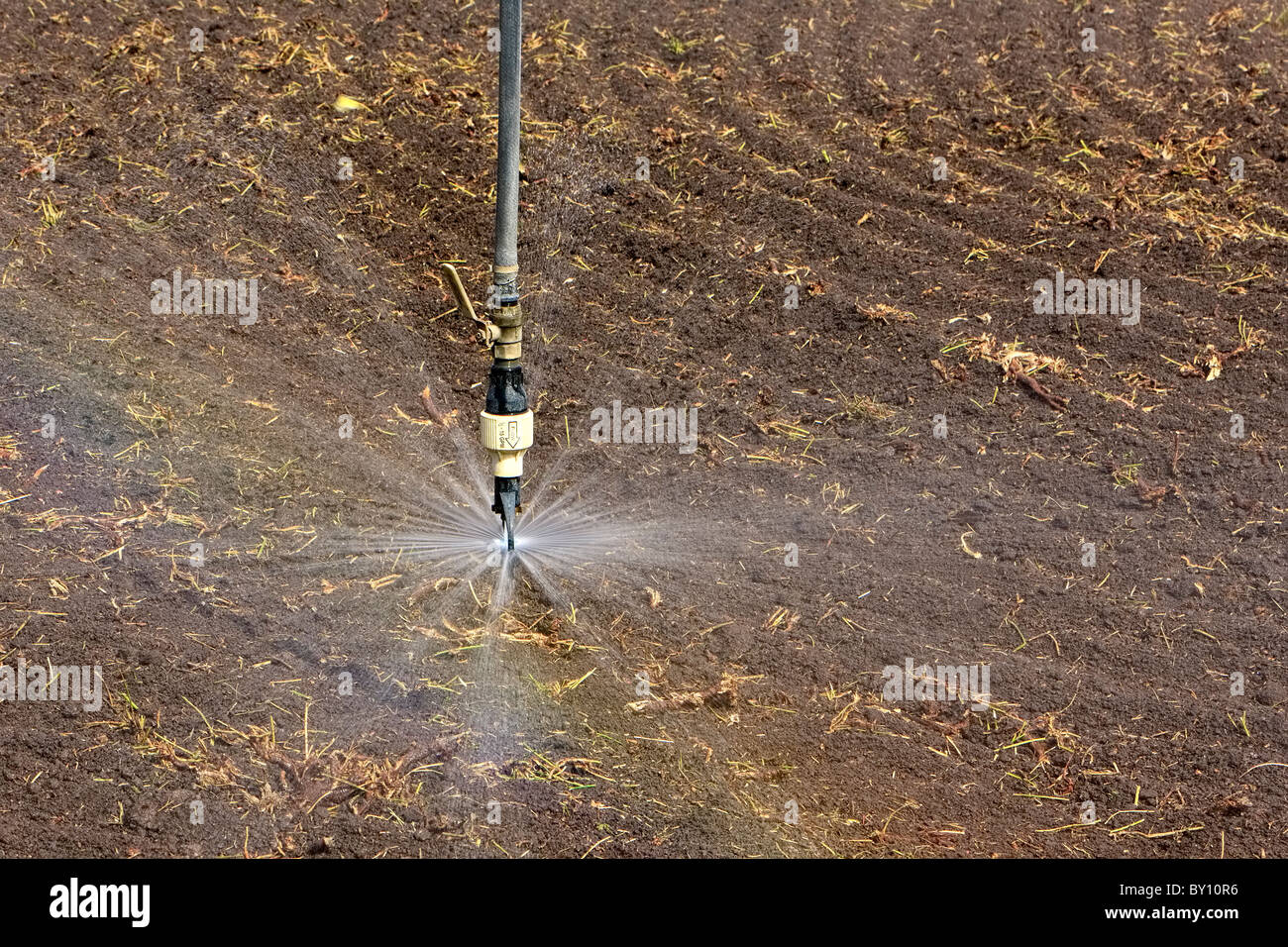 Agriculture watering/sprinklers Stock Photo