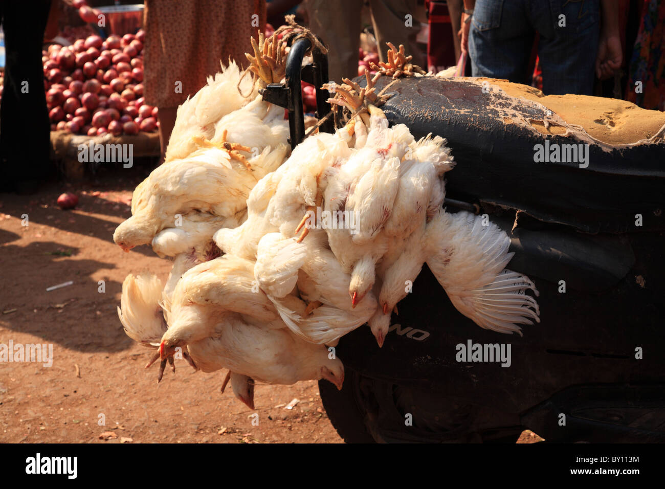 Chickens on the back of a motorbike at a market in India Stock Photo