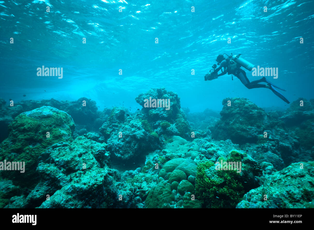 Underwater cameraman filming above a reef, Mapia Atoll, West Papua