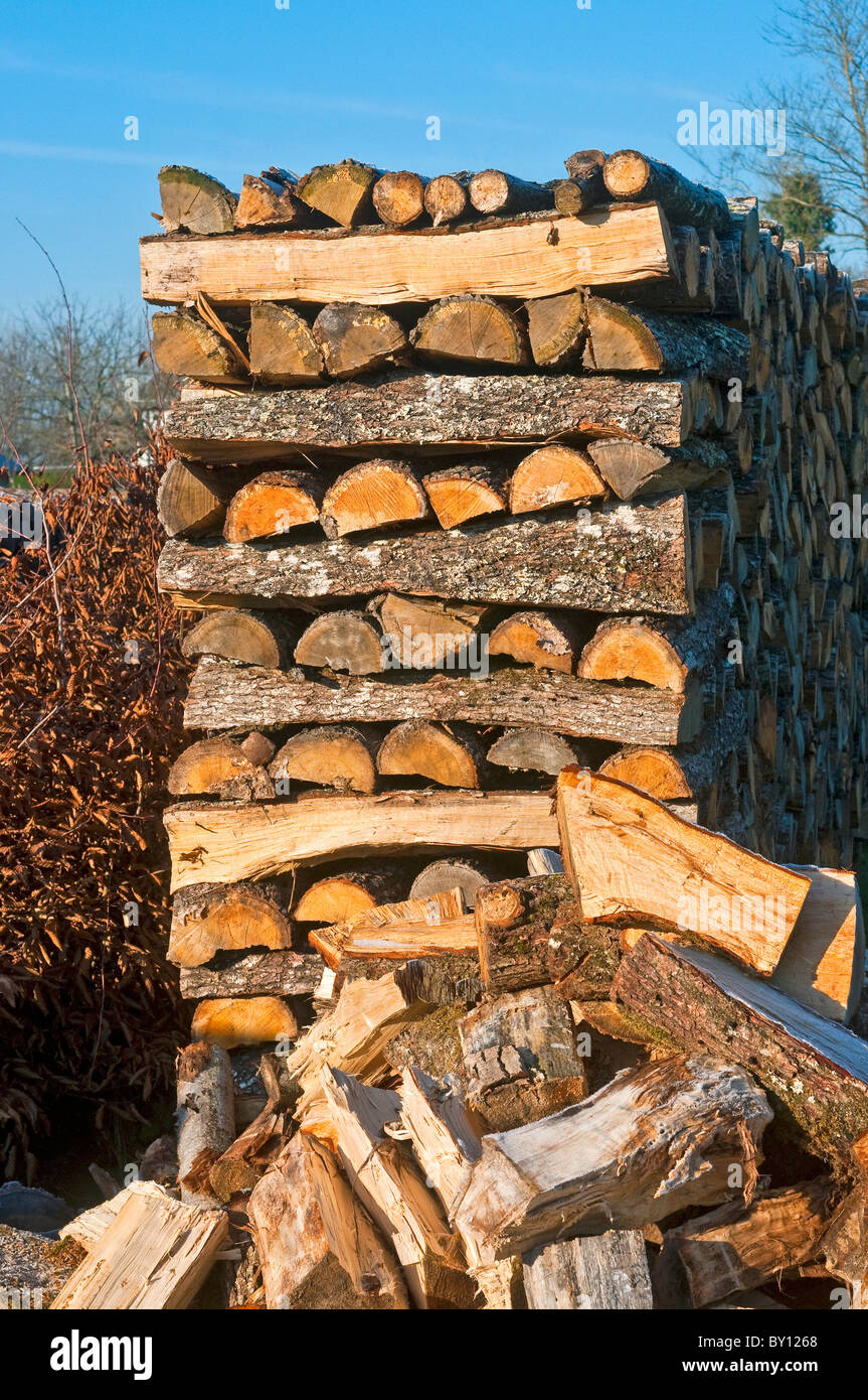 Stack of chopped Oak wood for domestic fuel, open fires and stoves