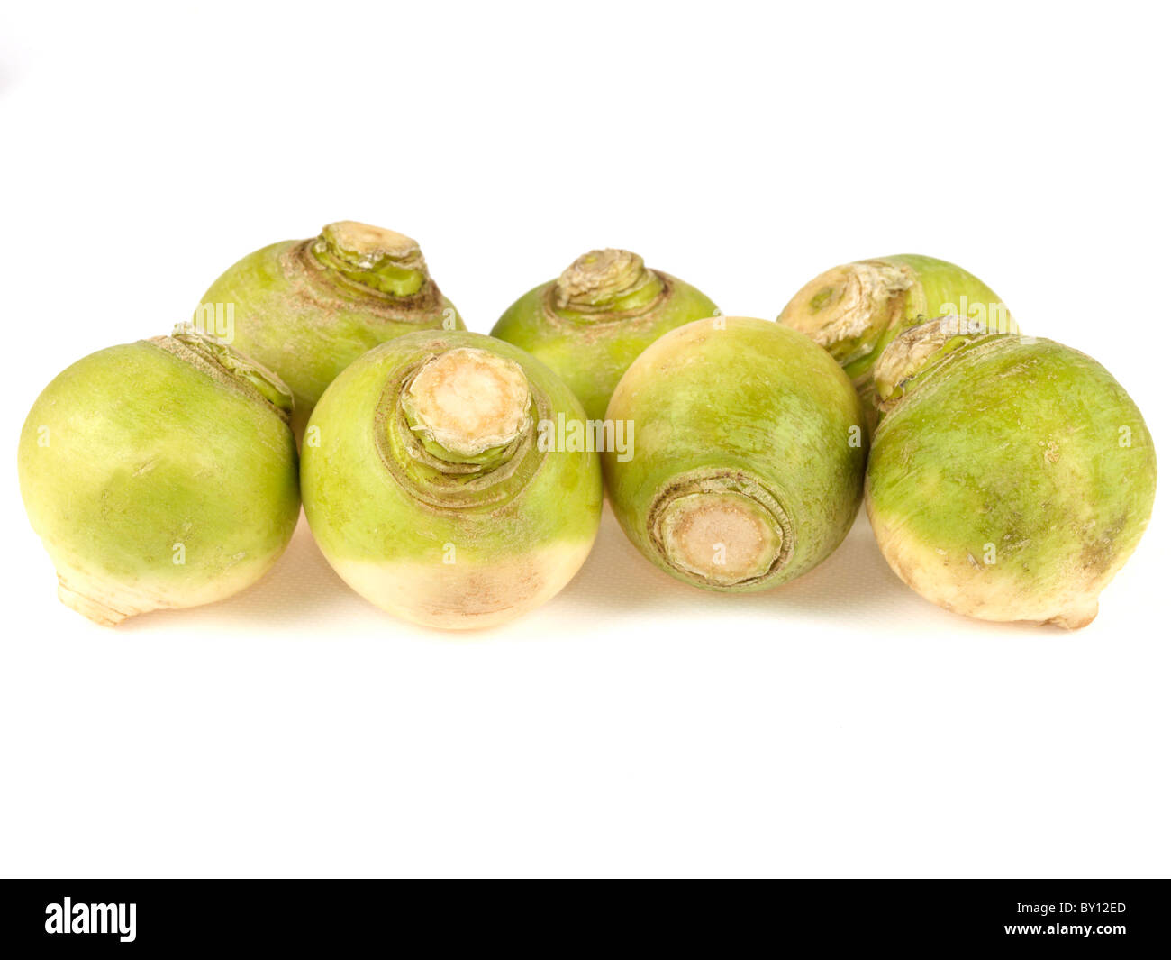 Fresh Ripe Uncooked Raw Root Vegetable Green Top Turnips Isolated White  Background With No People And A Clipping Path Stock Photo - Alamy