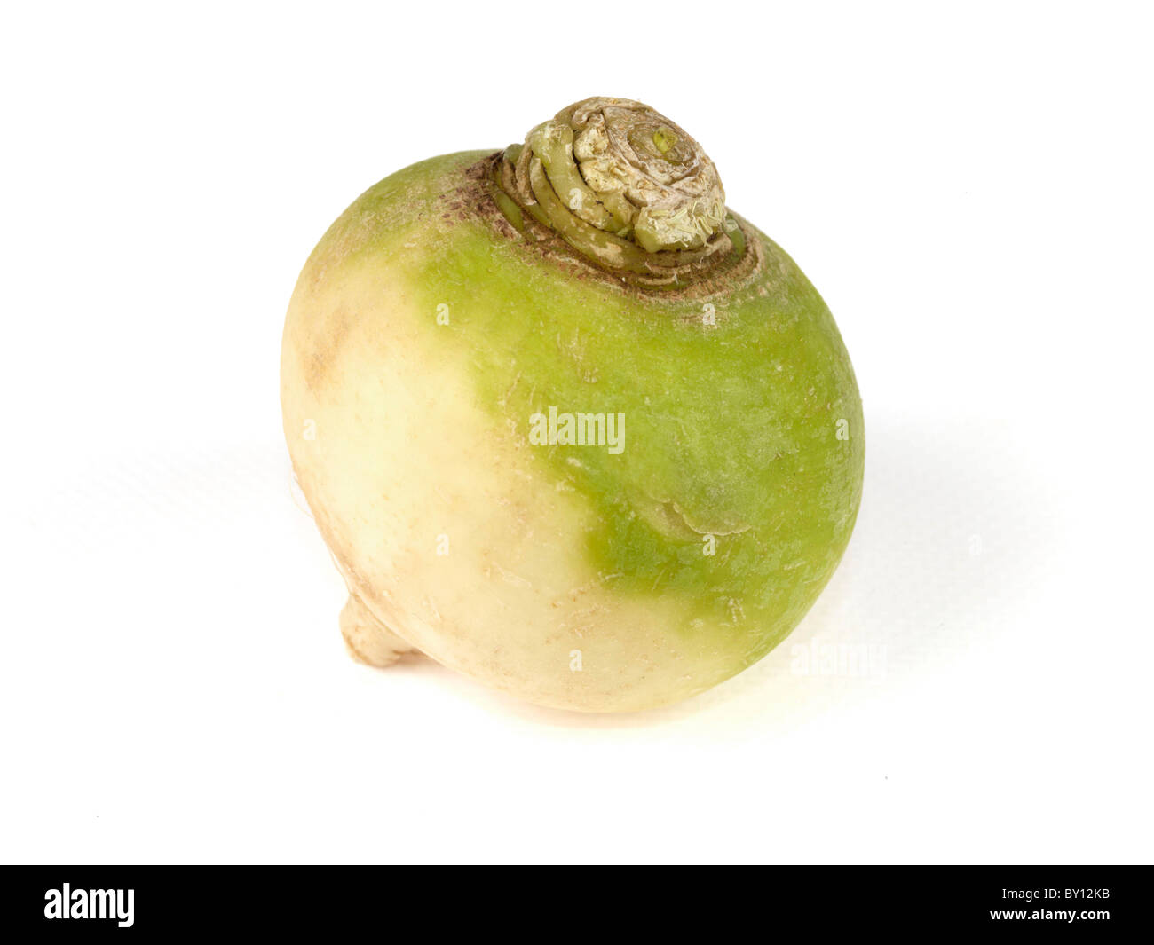 Fresh Ripe Uncooked Raw Root Vegetable Green Top Turnips Isolated White Background With No People And A Clipping Path Stock Photo