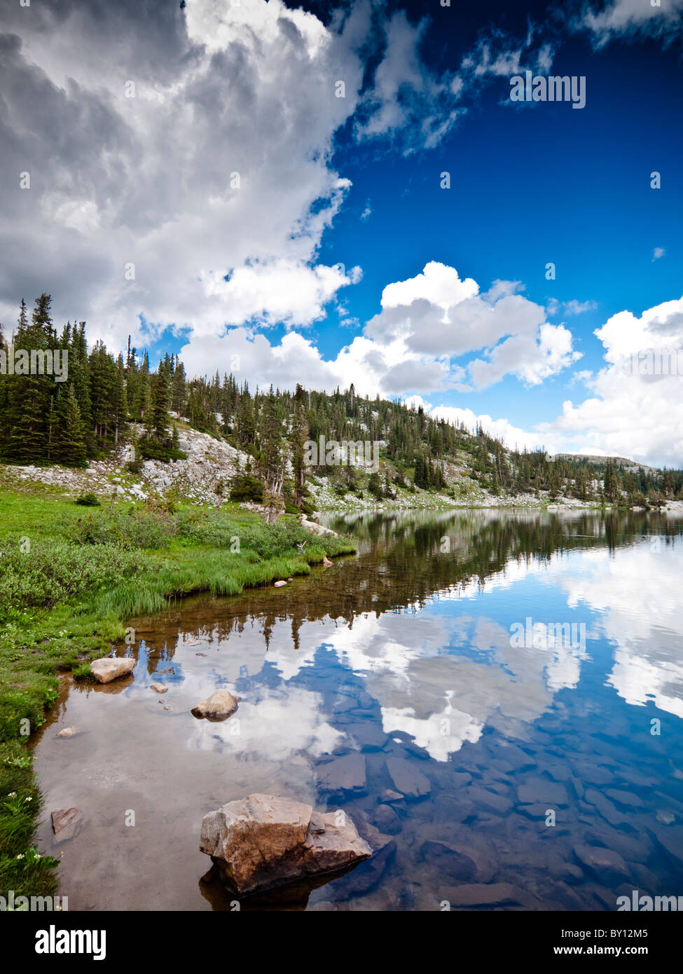 Medicine Bow Mountain national forest, A Wyoming national park Stock