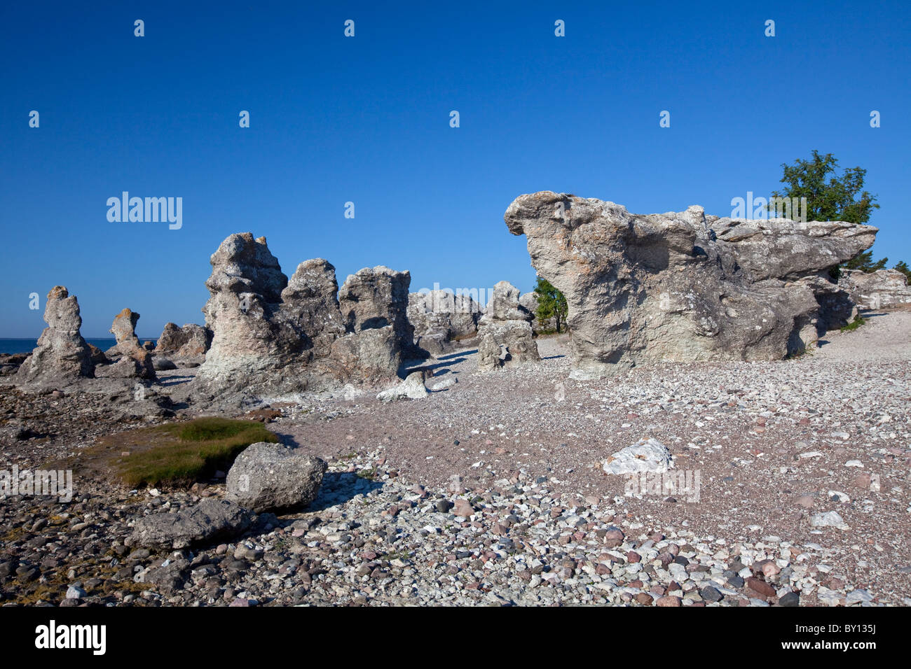 Limestone sea stacks / raukar at Folhammar, Gotland, Sweden Stock Photo