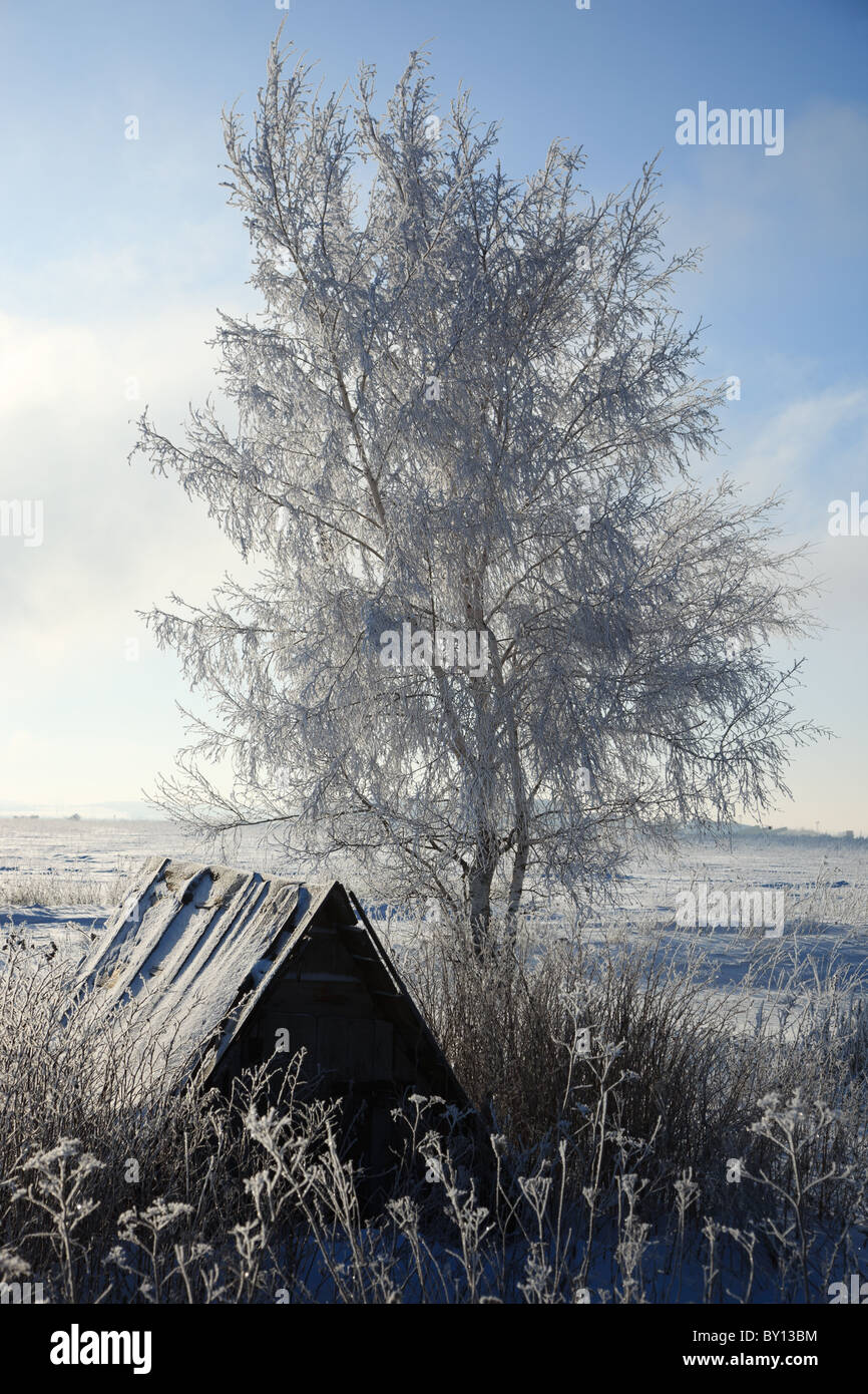 Beautiful winter landscape with white snow and the blue sky Stock Photo ...