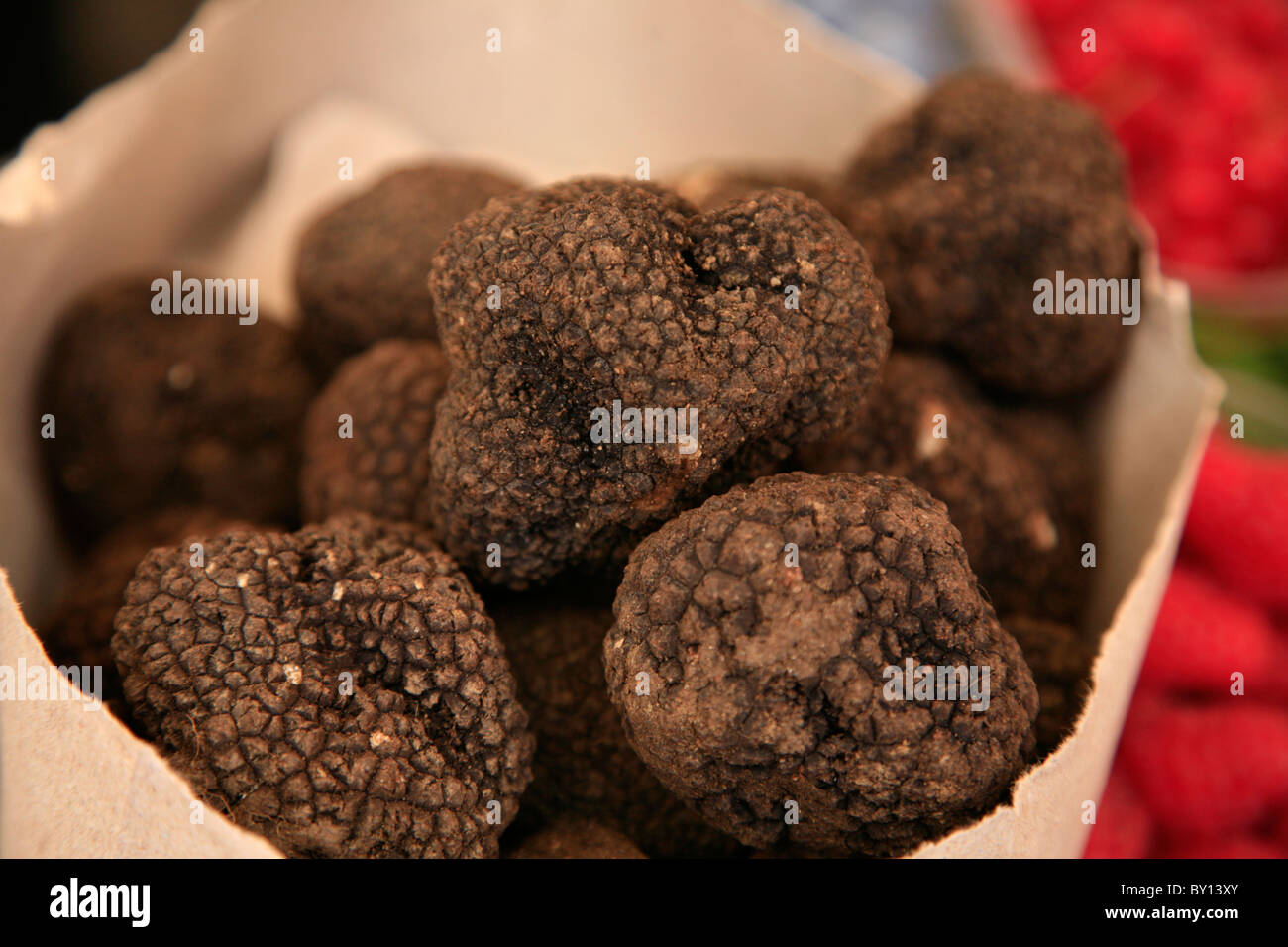 Black truffles in a paper bag Stock Photo