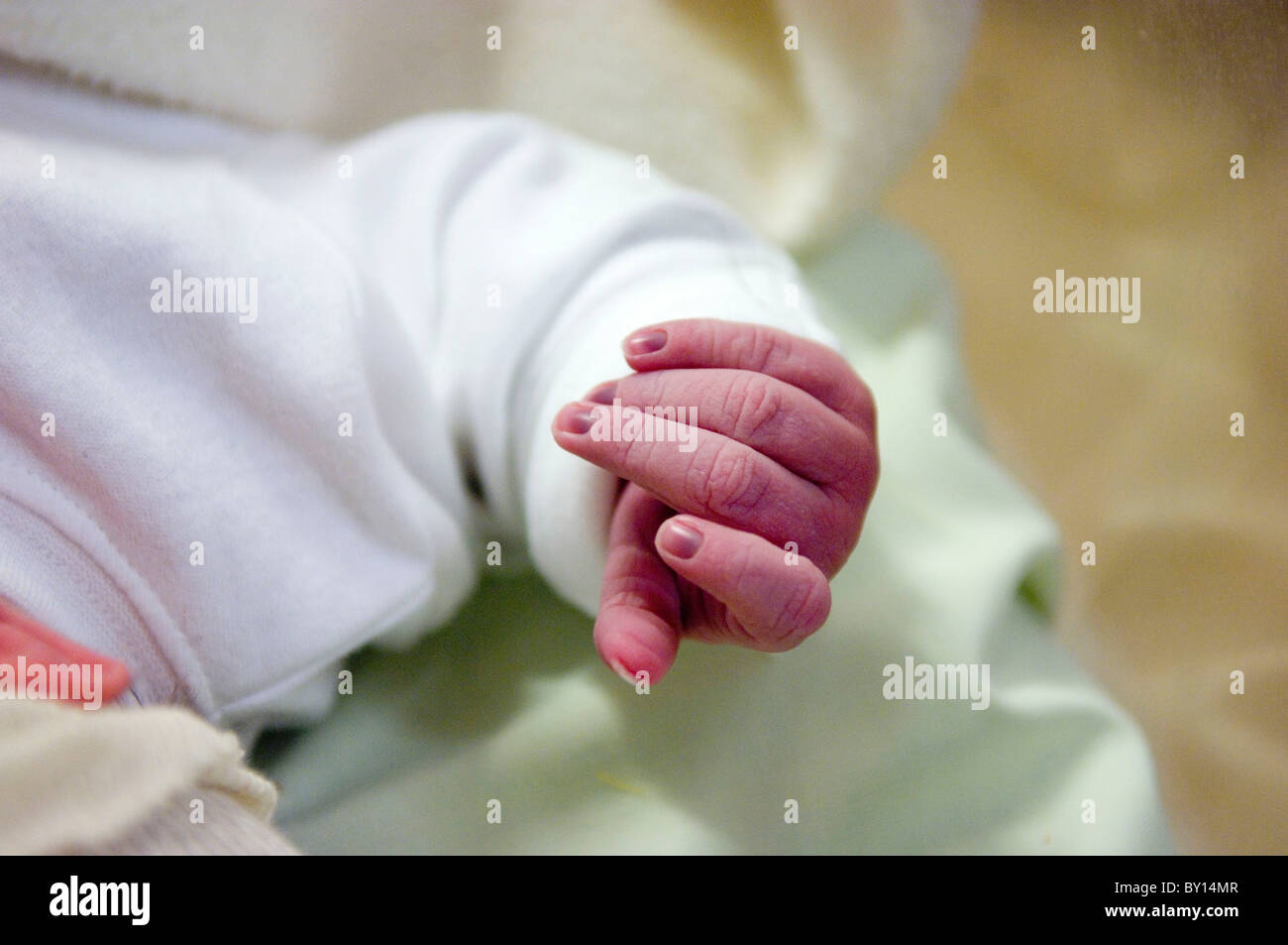 Wrinkled human baby hand shortly after being born. Stock Photo