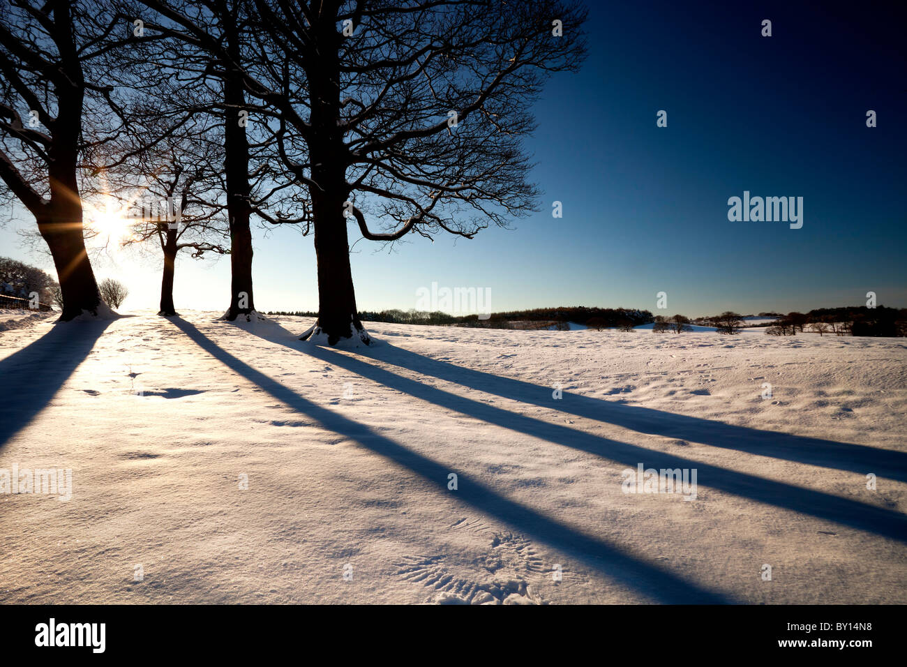 Snow scene at Harrock, Wrightington in Lancashire Stock Photo - Alamy