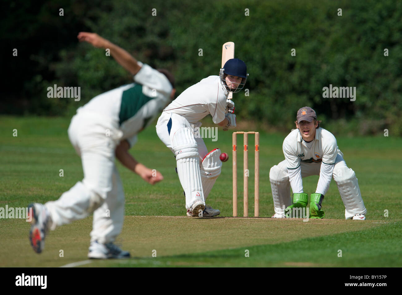 Cricket stumps batsman hires stock photography and images Alamy