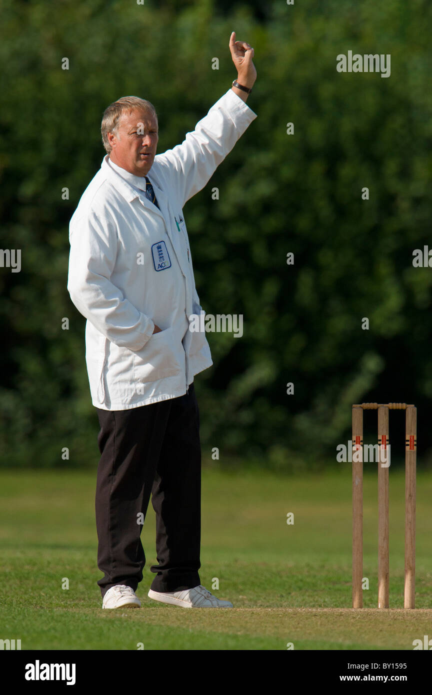 Cricket umpire signaling. Stock Photo