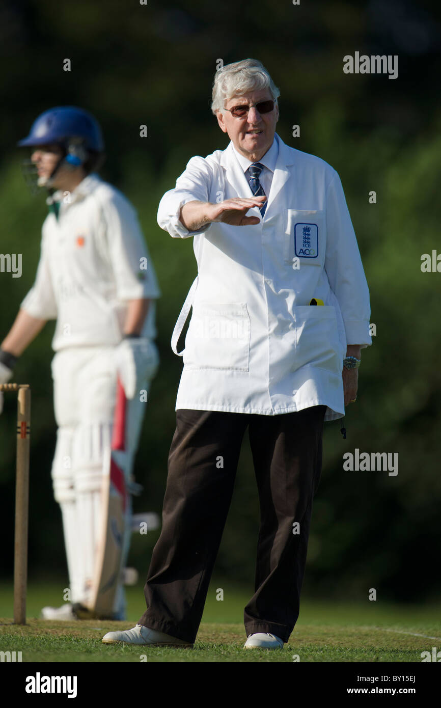 Cricket umpire signaling Stock Photo Alamy