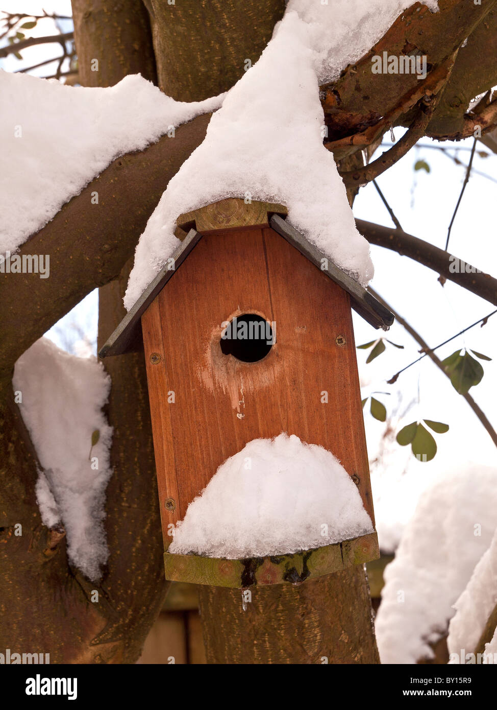 Bird nesting box after heavy snow. Stock Photo