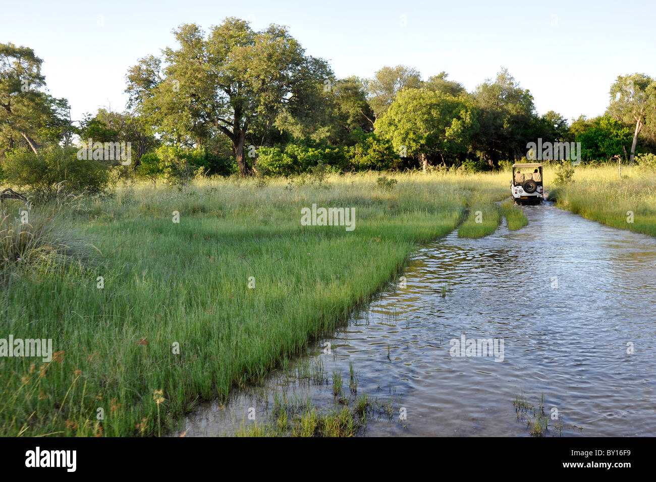 Moremi National Park, Botswana Stock Photo - Alamy