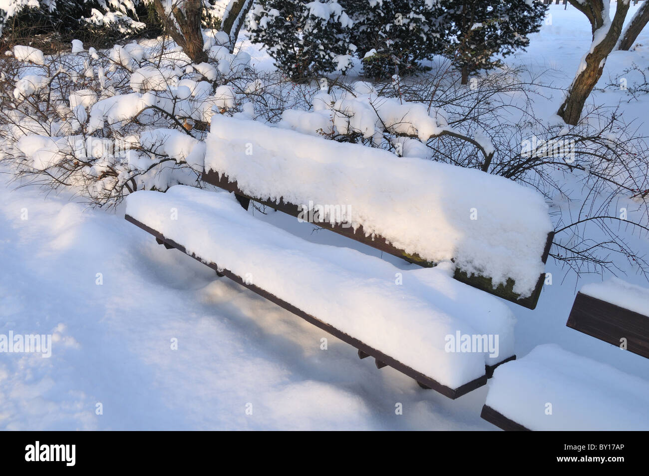 A bench in park covered in snow Stock Photo - Alamy