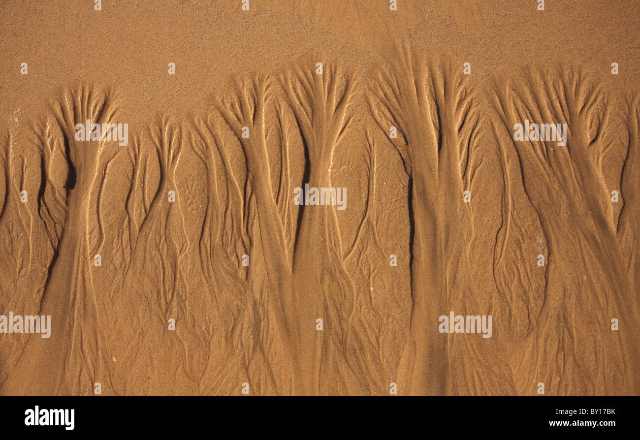 Patterns in the sand on beach at Barn Hill Station, Broome, Kimberley,  Western Australia Stock Photo - Alamy