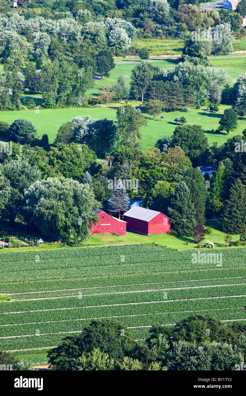 Two red barns in the Connecticut River Valley town of Sunderland. Stock Photo