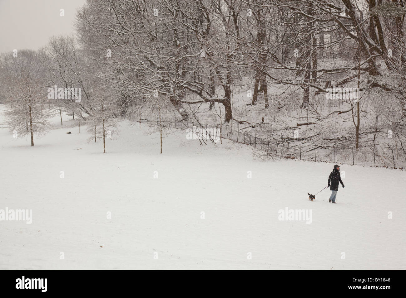 Prospect park brooklyn winter hires stock photography and images Alamy