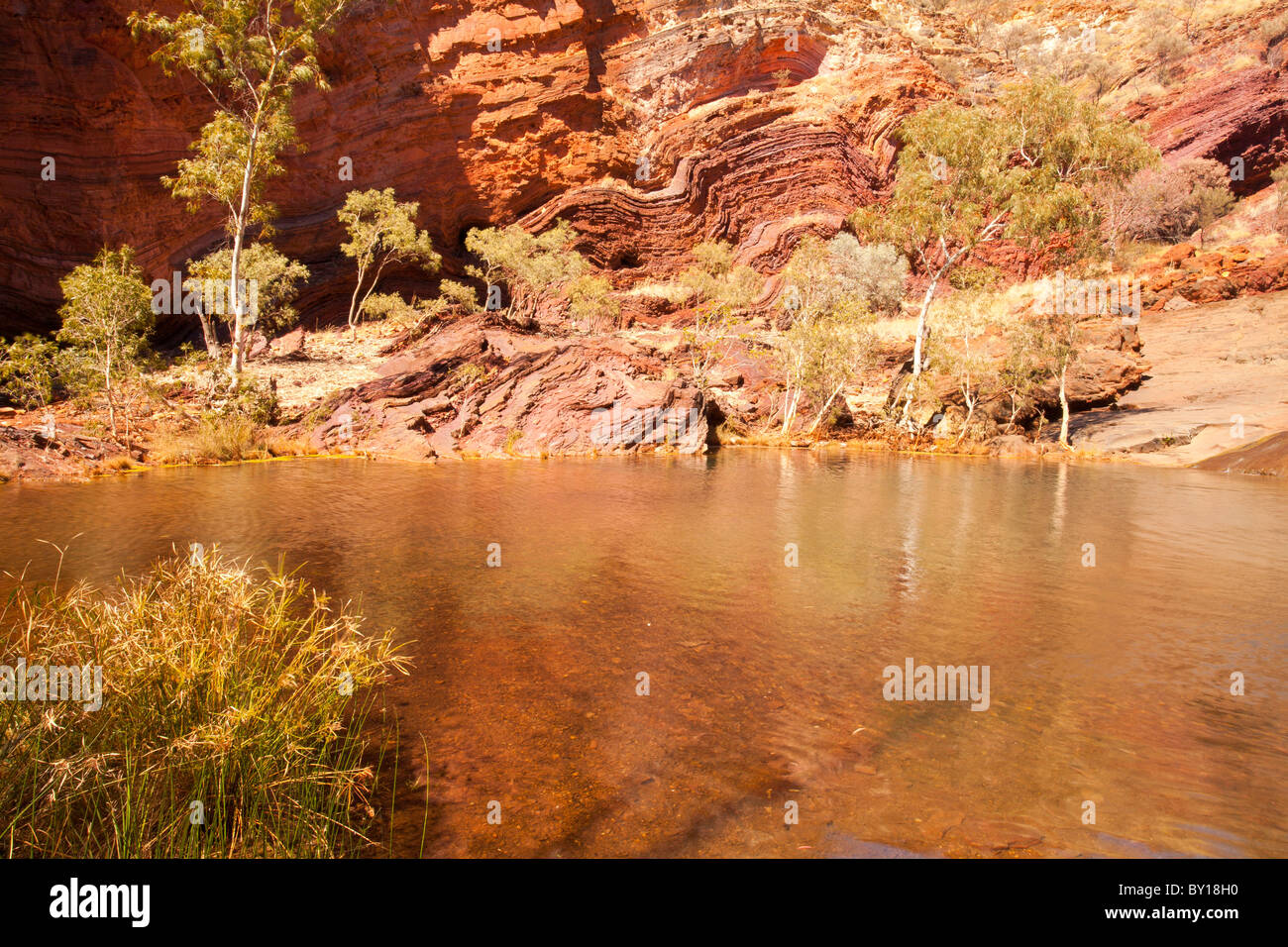 Severe tectonic folding in Hamersley Gorge, Karijini National Park, Pilbara, Western Australia Stock Photo