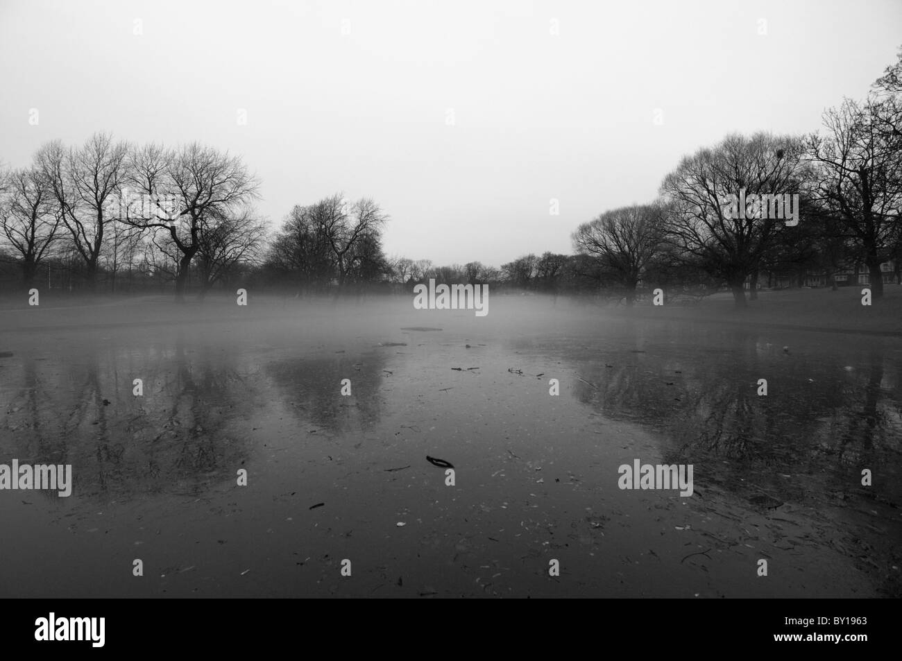 Greenbank park in Liverpool with mist Stock Photo Alamy