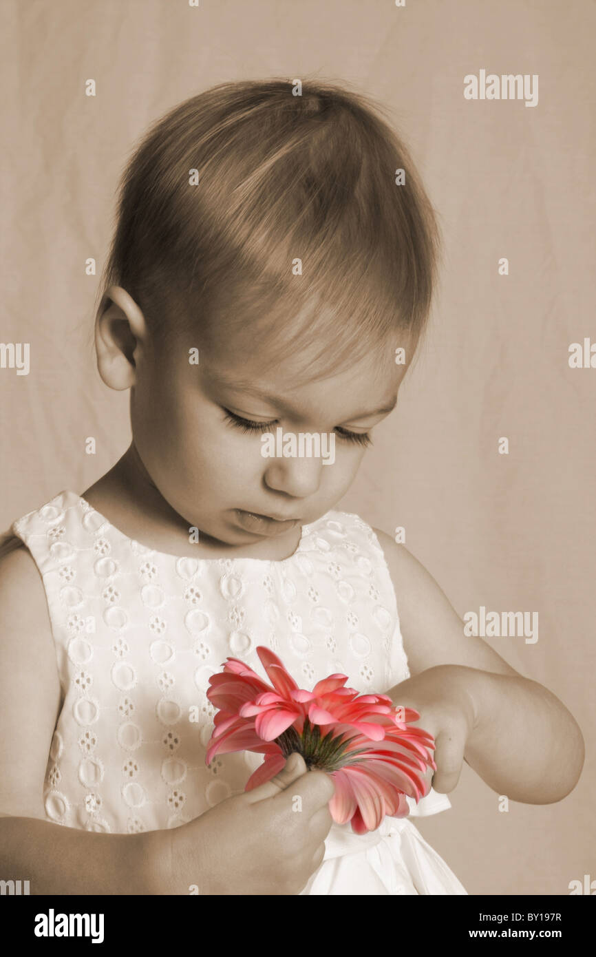 A young girl holding a flower Stock Photo - Alamy