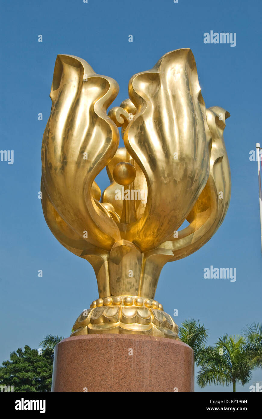 Bauhinia hong kong hires stock photography and images Alamy