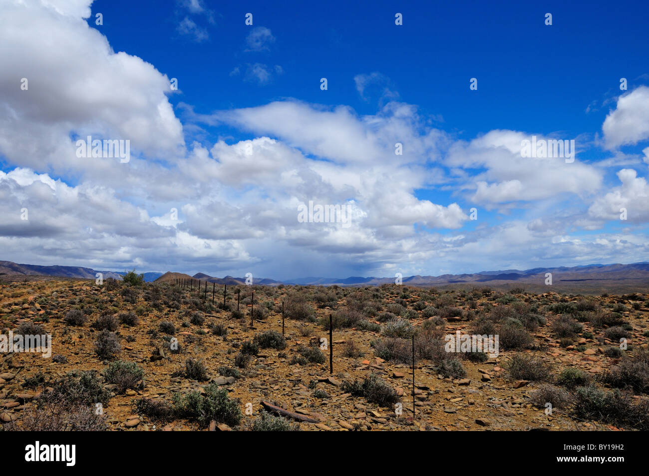 Desert landscape of Karoo basin. South Africa Stock Photo Alamy