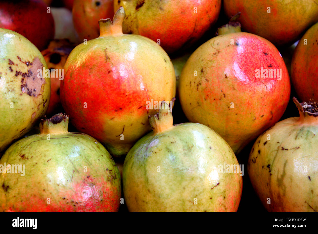 Pomegranates Stock Photo