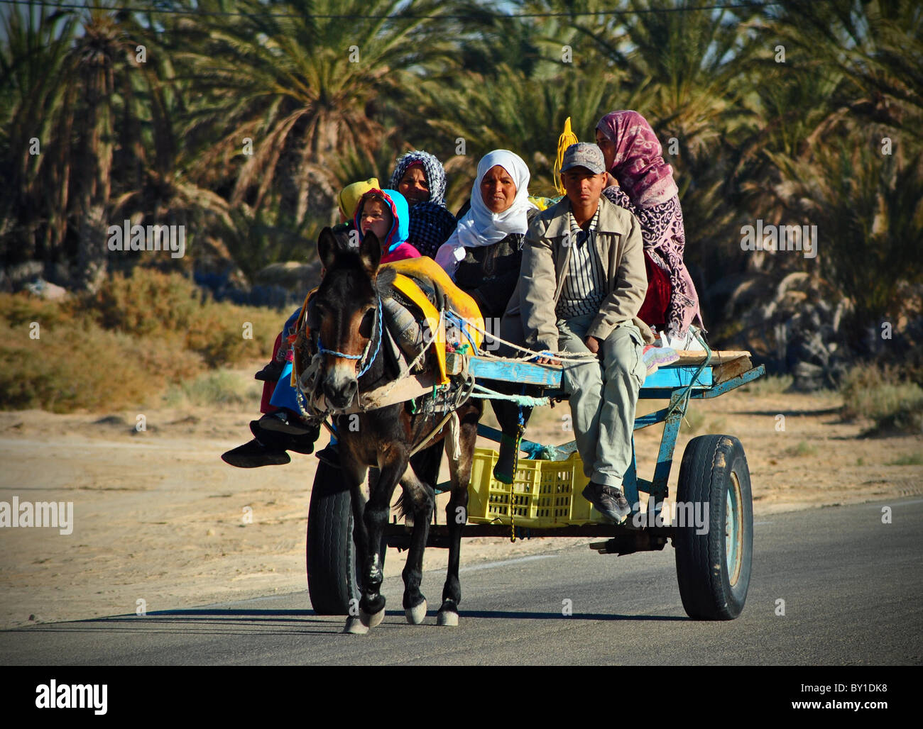 Tunisian family traveling through an oasis by donkey cart, near Douz, Tunisia Stock Photo