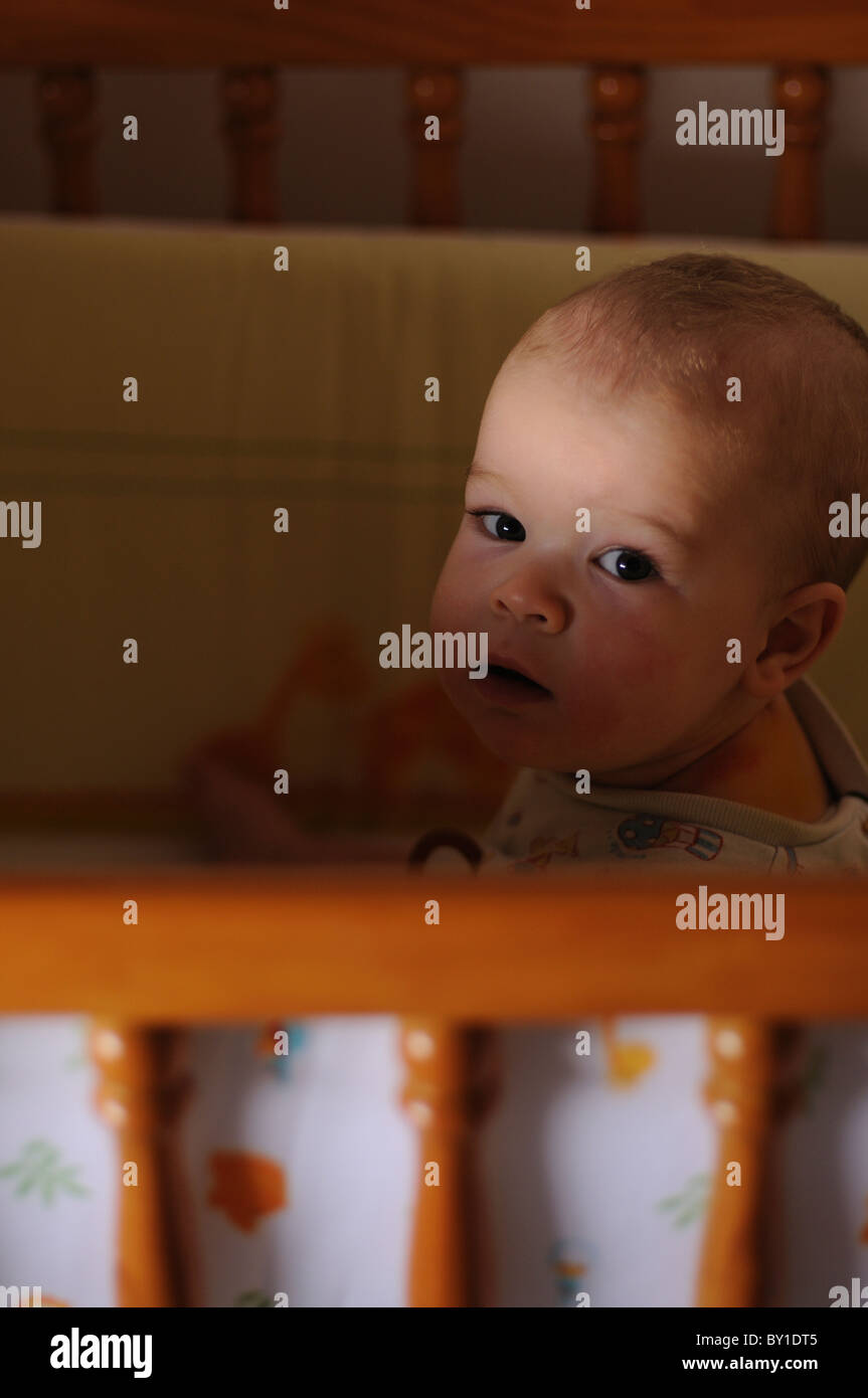 Toddler in baby bed Stock Photo Alamy