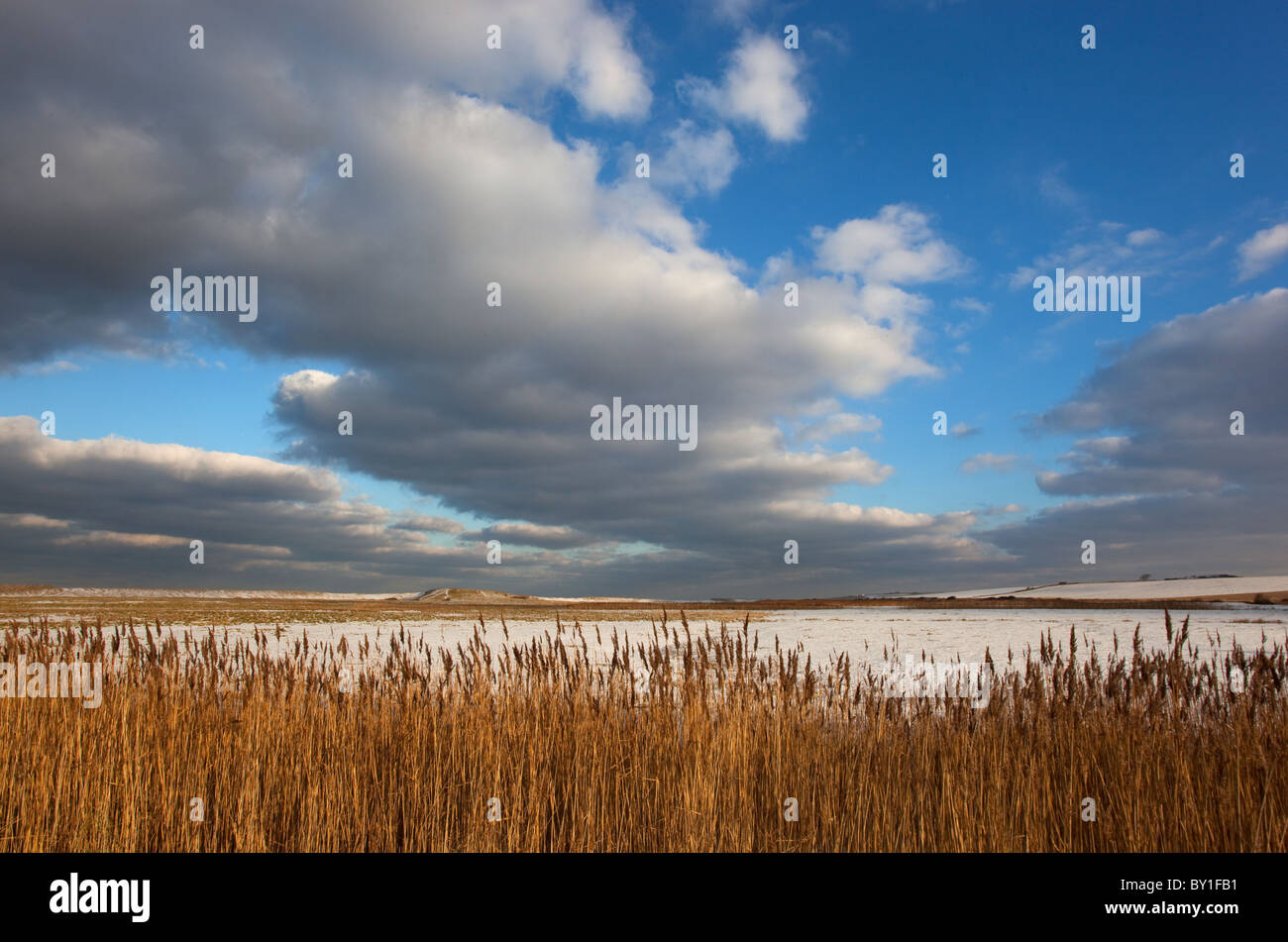 Grazing Marshes at Salthouse North Norfolk Winter Stock Photo