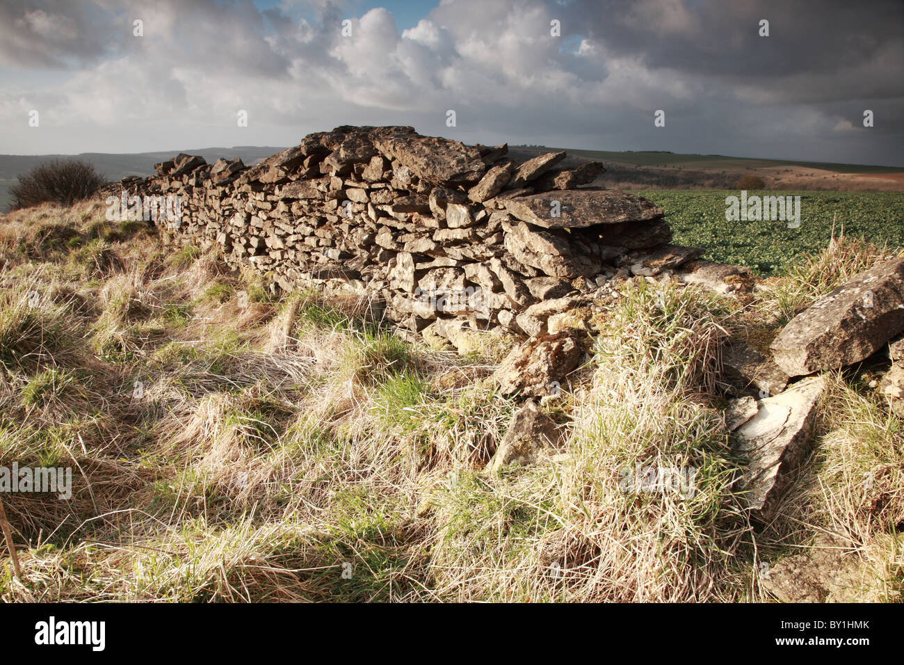 Sunlit dry stone wall North York Moors, England Stock Photo