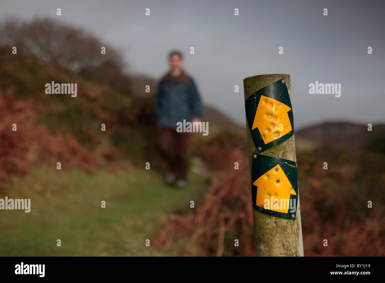 Walker on the trail in Wales with signage Stock Photo - Alamy