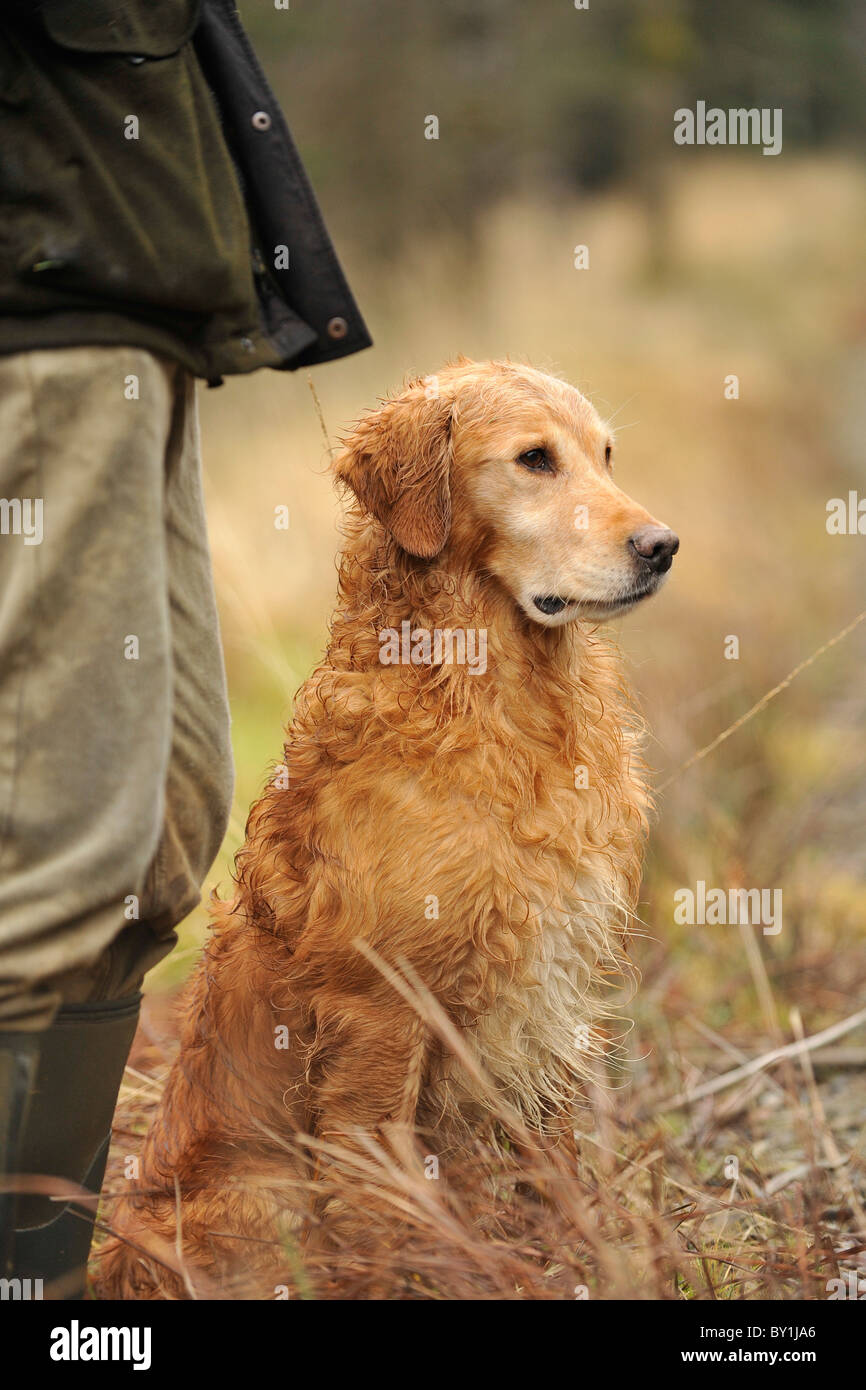 retriever gun