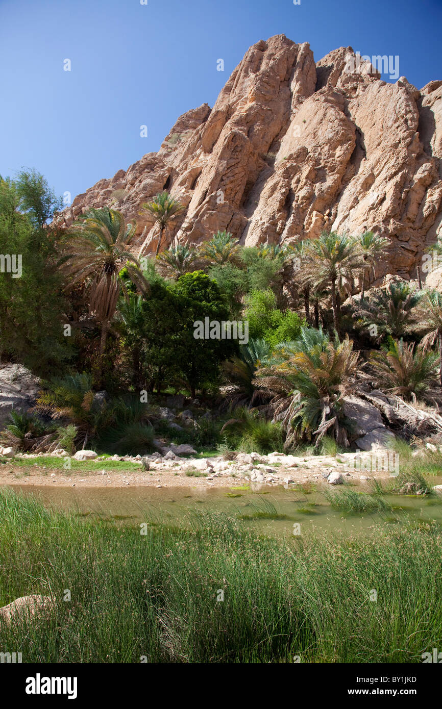 Oman, Wadi Bani Khalid. The lush green plants contrast with the arid rocks at this popular Wadi. Stock Photo