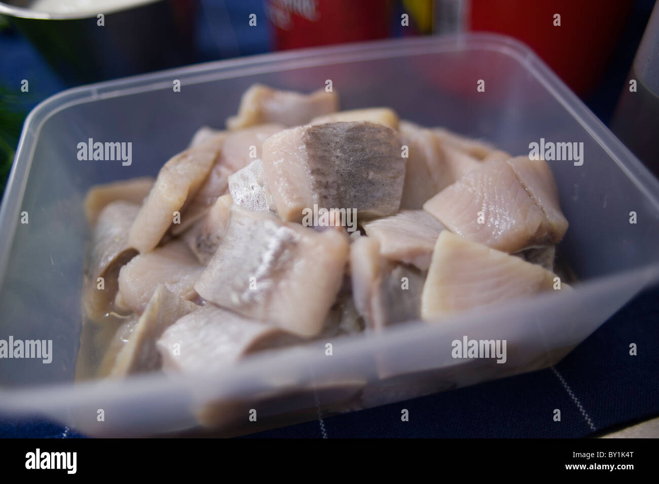 Pieces of pickled herring, after curing, but before flavoring is added in a restaurant kitchen