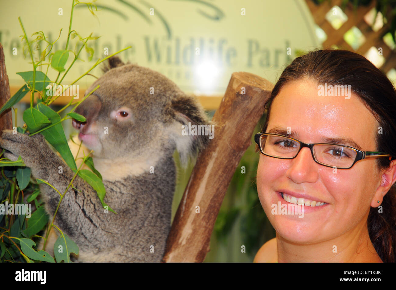 A young woman smiling with a koala Stock Photo