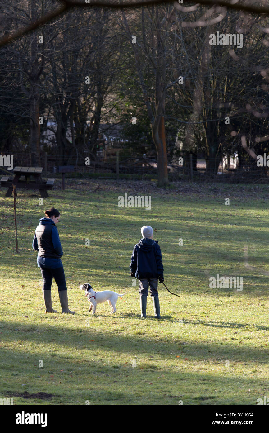 two people exercising theit terrier dog in a country park in winter Stock Photo