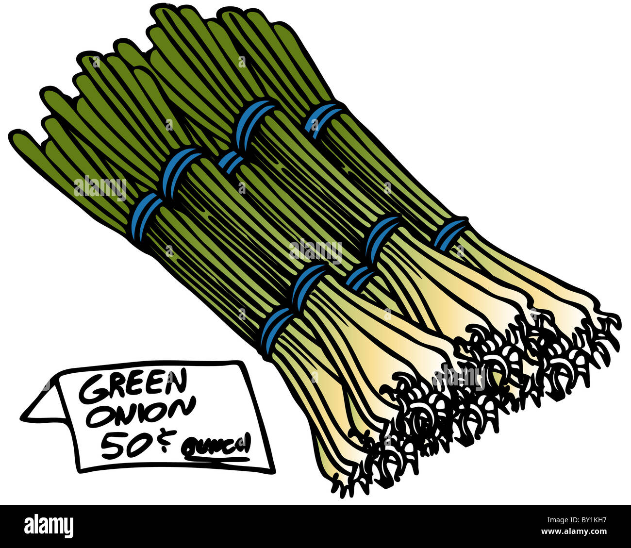 An image of a bunch of green onions Stock Photo - Alamy