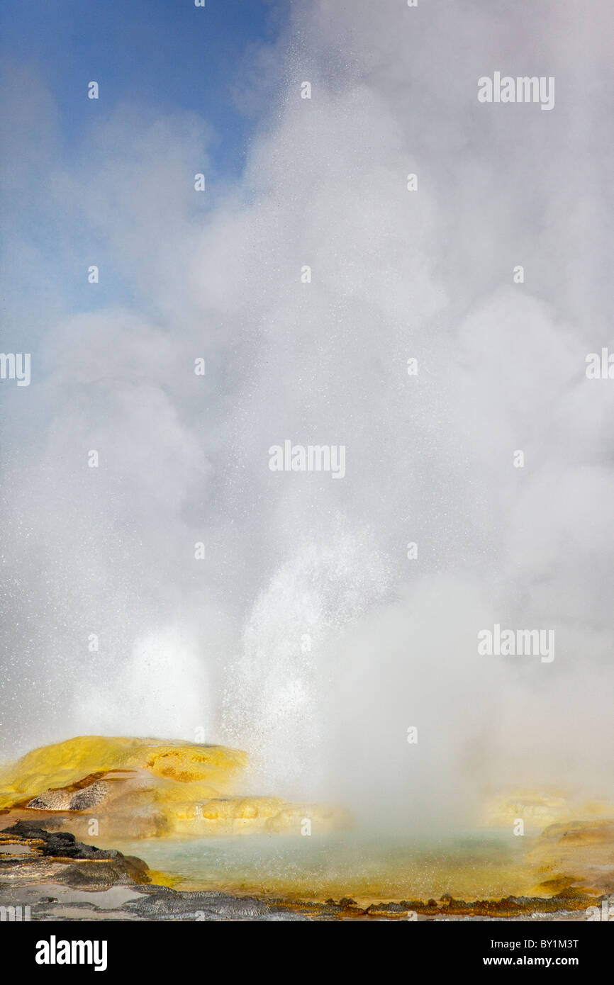 Yellowstone's Clepsydra geyser erupting Stock Photo