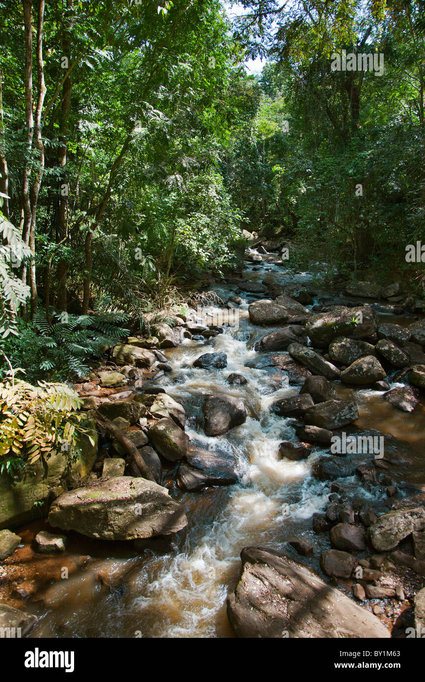 A river in the Amani Nature Reserve, a protected area of 8,380ha situated in the Eastern Arc of the Usambara Mountains.  The Stock Photo
