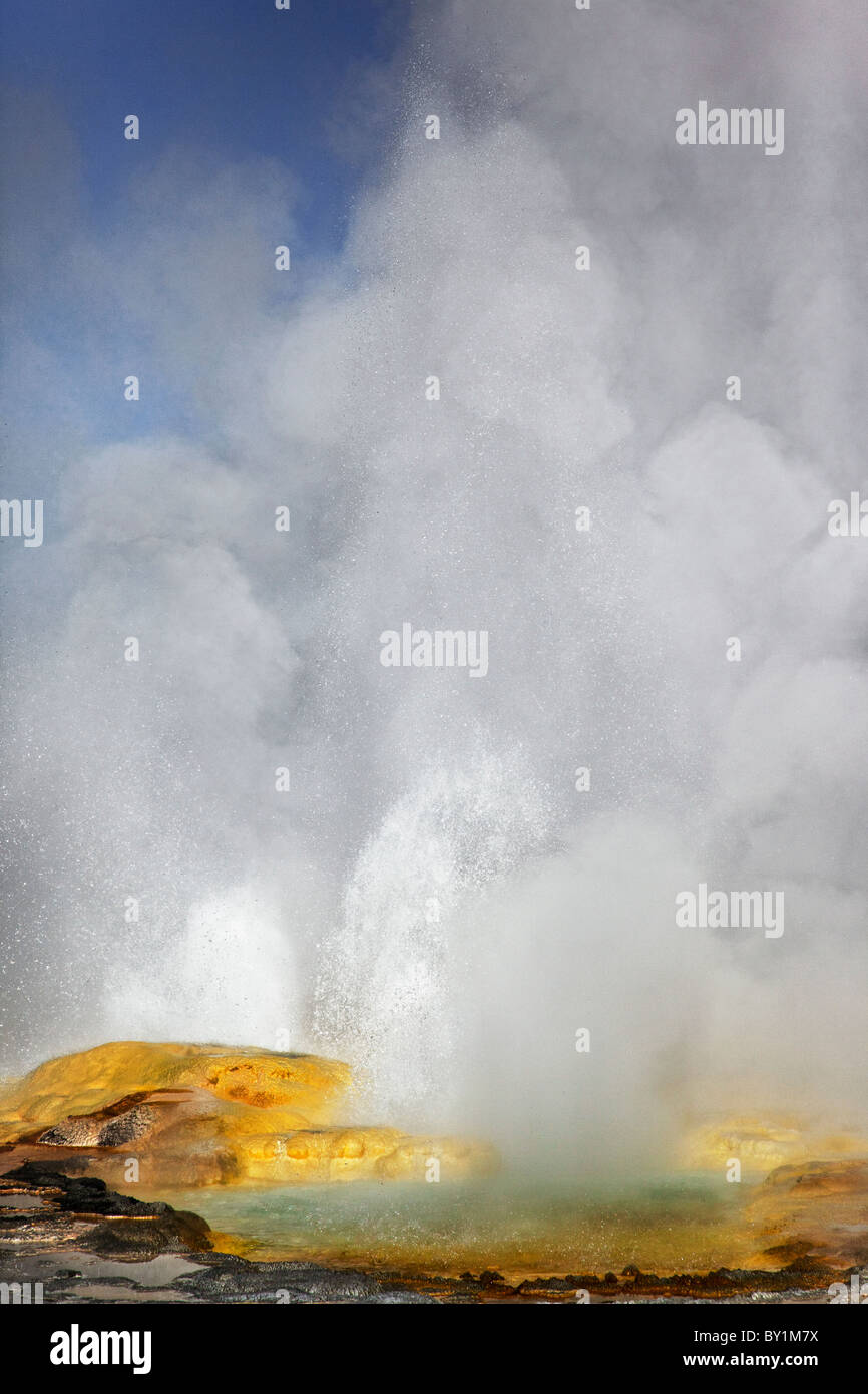 Yellowstone's Clepsydra geyser erupting Stock Photo