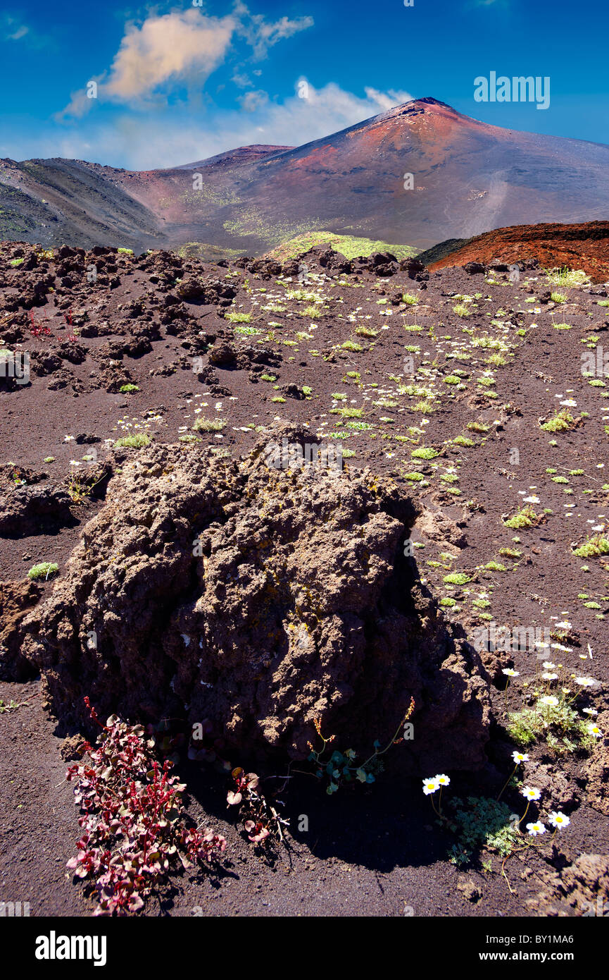 Volcanic ash on the slopes slopes of Mount Etna, active olcanic mountain , Sicily Stock Photo