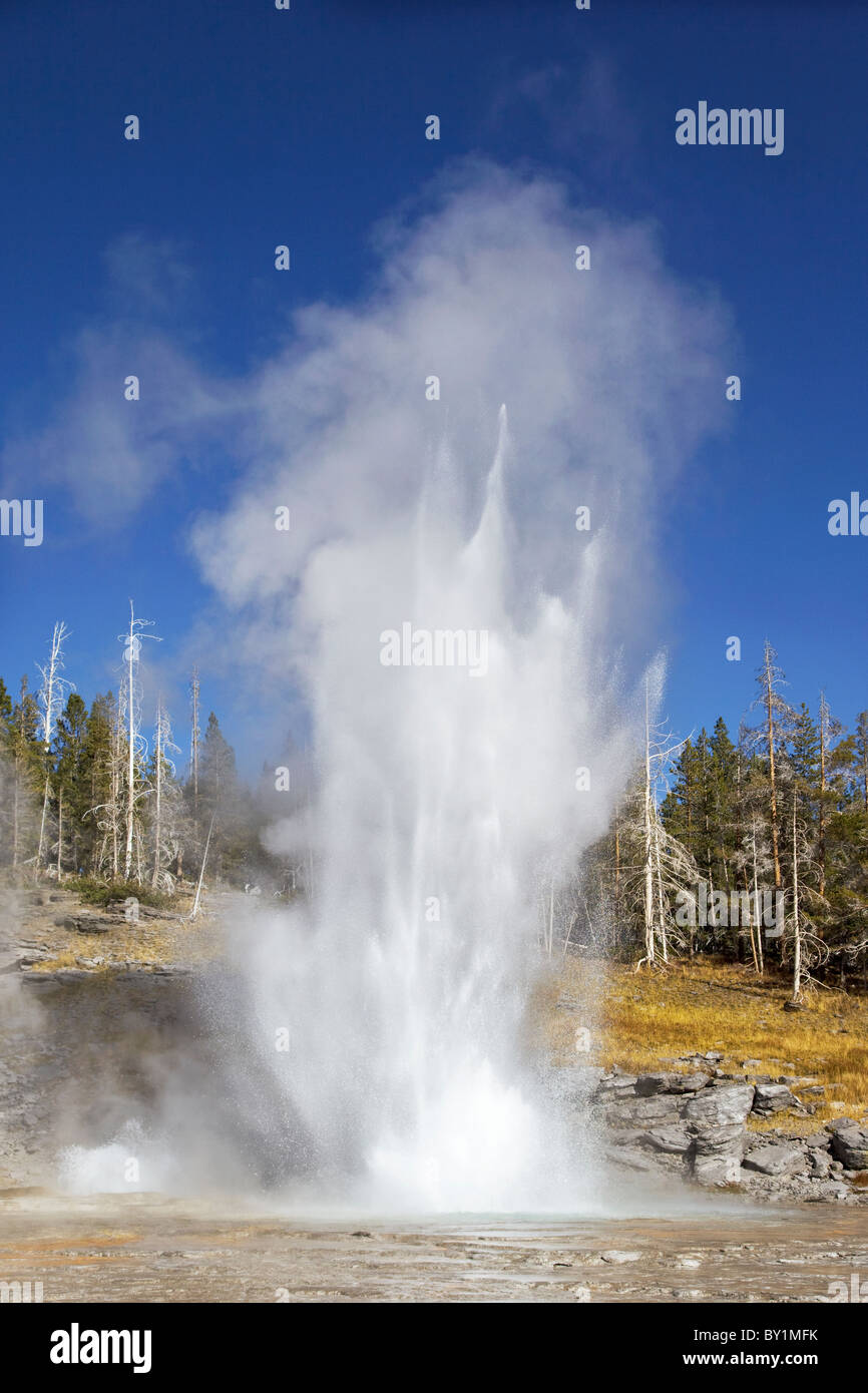 Yellowstone's Grand geyser erupting - the worlds tallest predictable geyser Stock Photo
