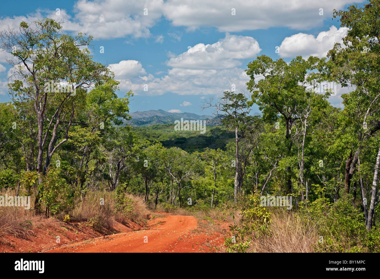 A view of the hills and indigenous forest in the low-lying Kilombero Valley of Tanzania  s Southern Highlands. Stock Photo