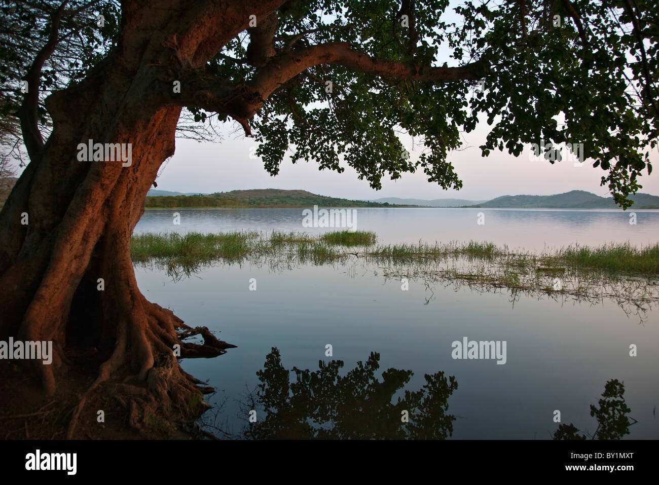 Tranquil Lake Babati in the late afternoon. Stock Photo